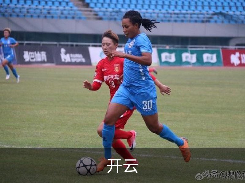 开云简介