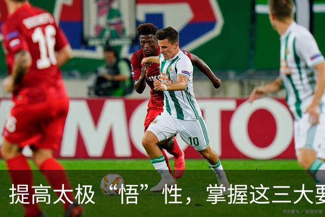 提高太极“悟”性，掌握这三大要素！